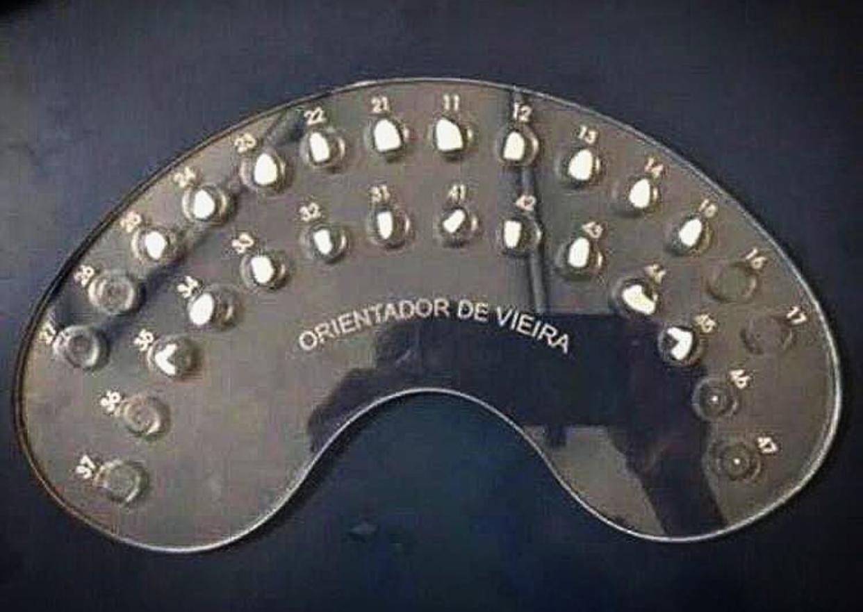 orientador-de-vieira